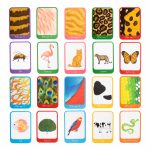 Who Am I? Flashcards